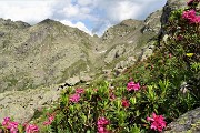 80 Dal Lago Rotondo rientro alla Bocca di Trona seguendo in senso inverso il sent. 148 varaiante alta